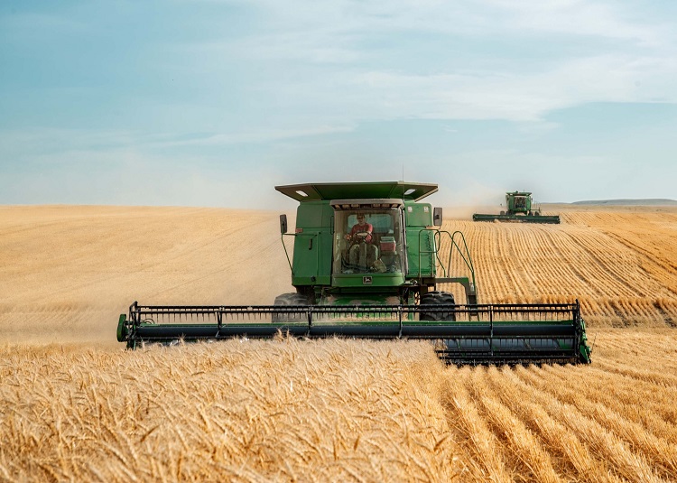 România în topul exportatorilor de grâu