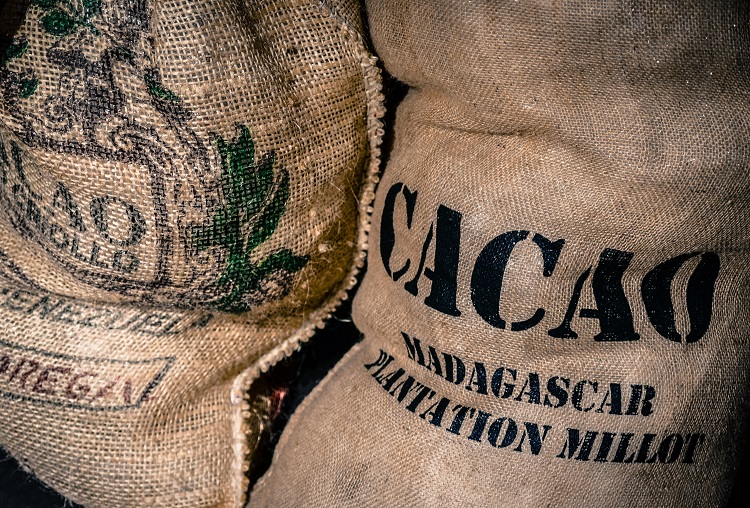 Păstaia de cacao