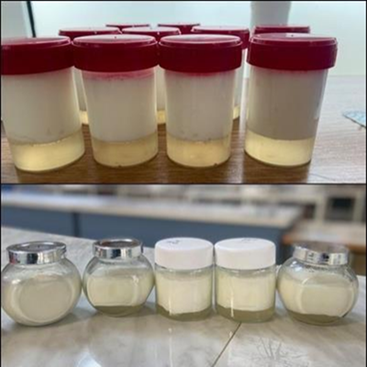 Yogurt with mint jelly