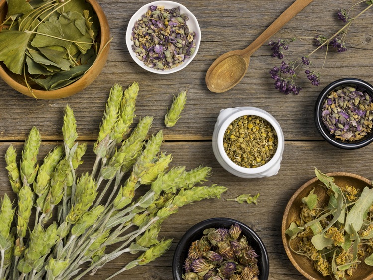 Piața plantelor medicinale 